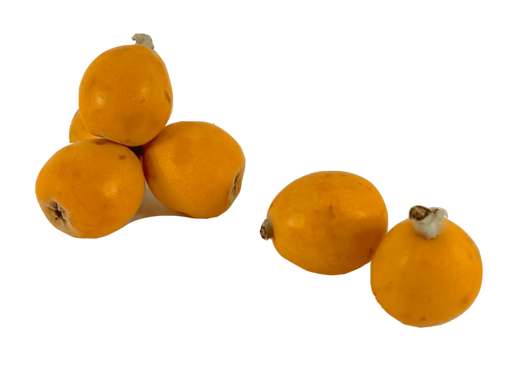 Loquat (Mispel) Färsk ca450-500g/paket-pris per paket