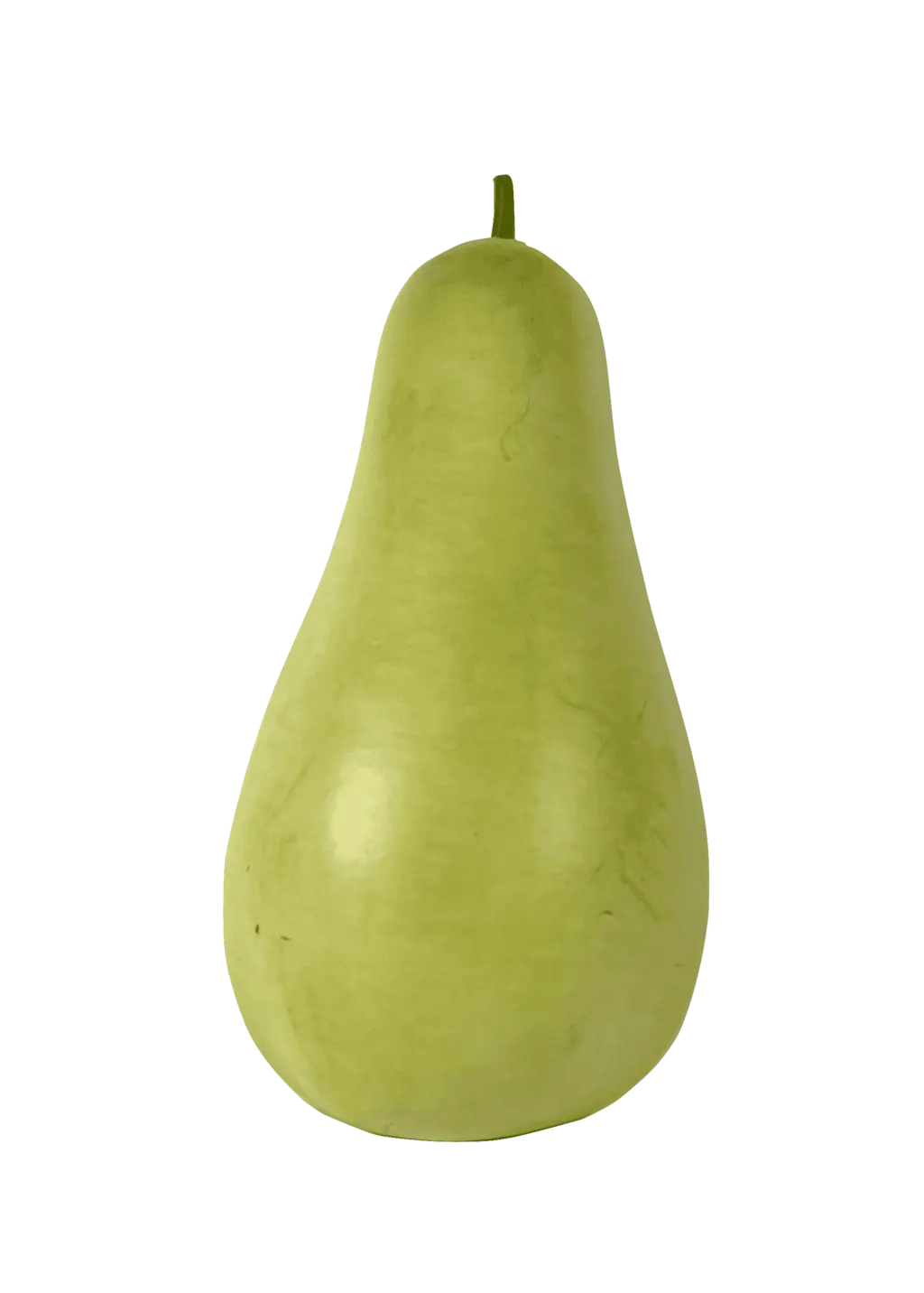 Kalebass Pu Gua ca700-900g/st-Spanien-Pris per styck