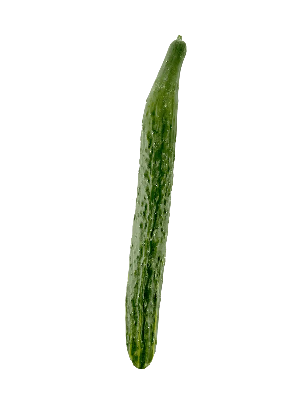 Kinesisk Gurka Ca900-1000g Spanien