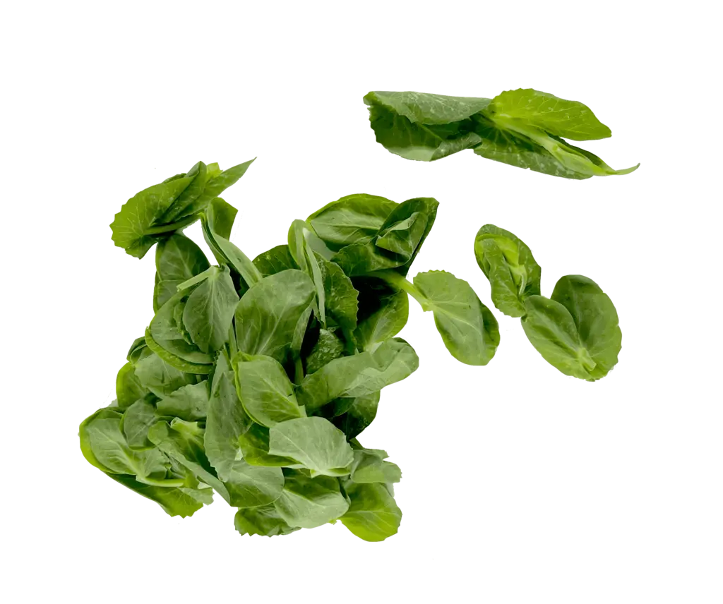 Watercressca 200g Spain