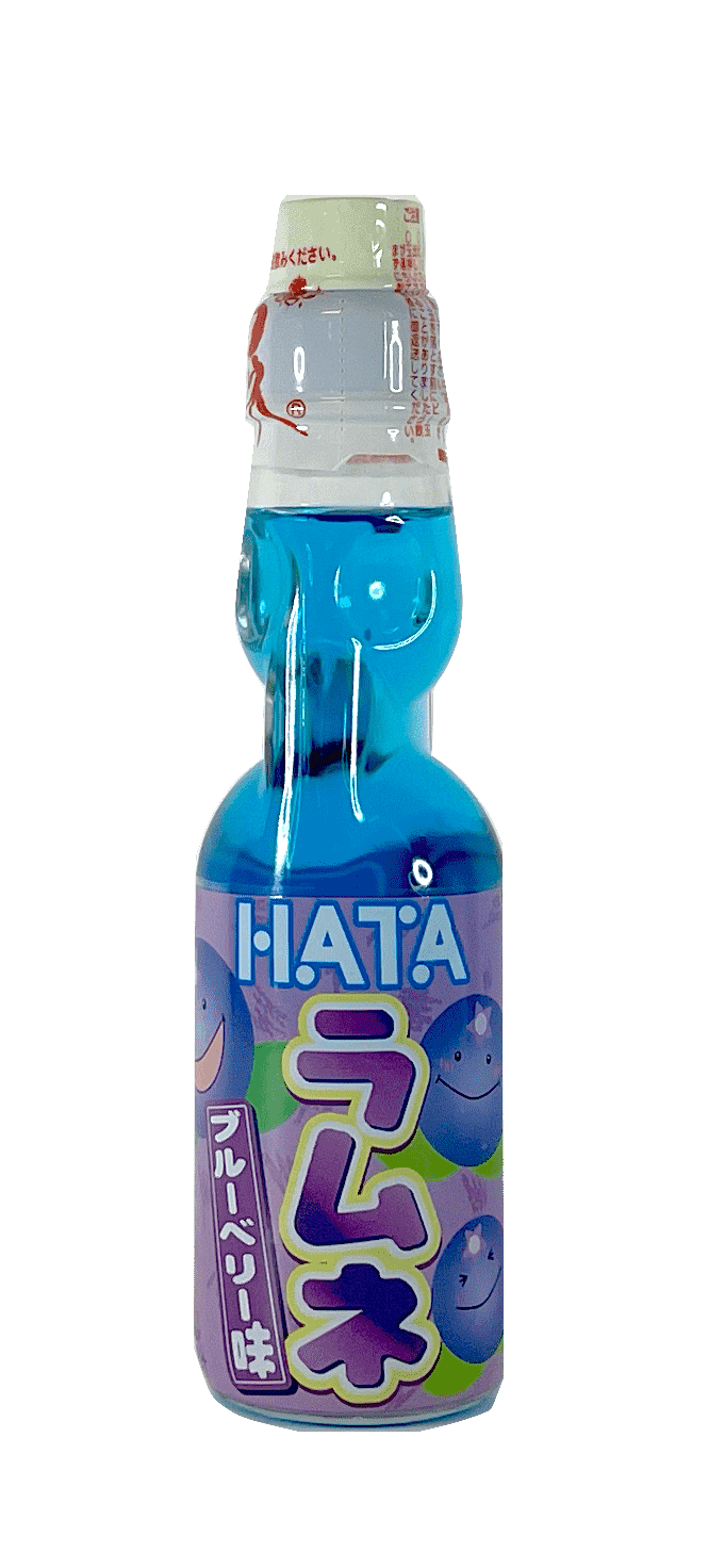 Dryck Blåbär 200ml HATA Japan